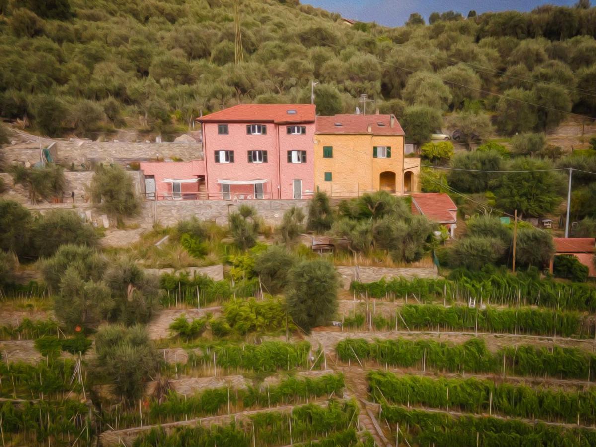 Affittacamere Ca' Baldo Finale Ligure Dış mekan fotoğraf